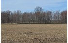 Property photo 93 - REAL ESTATE & PERSONAL PROPERTY AUCTION, 140 Acres offered in 8 Tracts or Combinations in Steuben County